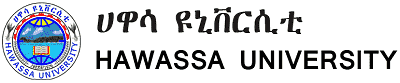 hawassa university mba thesis pdf