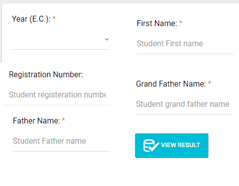 NIMEI Placement examination results