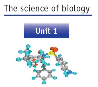 grade 11 unit 1 the science of biology question answers ethiopian students