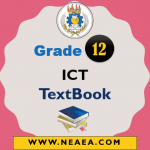 Ethiopian Grade 12 ICT Student Textbook PDF