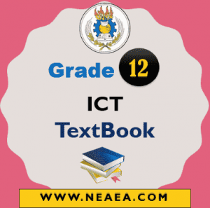 Ethiopian Grade 12 ICT Student Textbook PDF